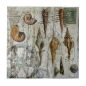 rustige witgewassen kustzeeschildpad tegeltje (Voorkant)