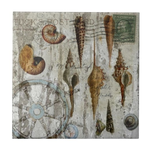 rustige witgewassen kustzeeschildpad tegeltje (Voorkant)