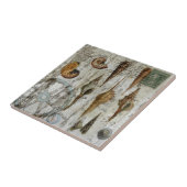 rustige witgewassen kustzeeschildpad tegeltje (Zijkant)