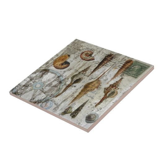 rustige witgewassen kustzeeschildpad tegeltje (Zijkant)