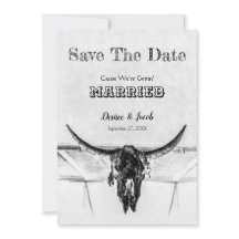 Rustige witte zwarte Westerne Koe schedel sparen d