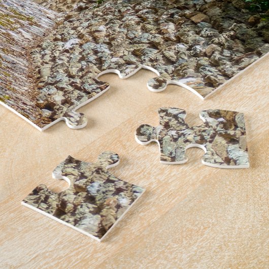 Rustige woningen Gebouwen Belcastel Frankrijk Reis Legpuzzel (Zijkant)