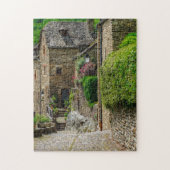 Rustige woningen Gebouwen Belcastel Frankrijk Reis Legpuzzel (Verticaal)