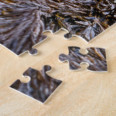 Rustige zeehond aan de kustlijn legpuzzel (Zijkant)