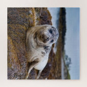 Rustige zeehond aan de kustlijn legpuzzel (Horizontaal)