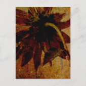 Rustige zonnebloem briefkaart (Voorkant)