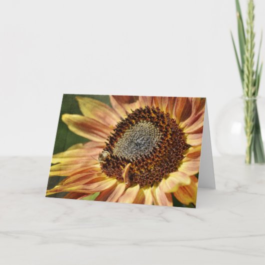 Rustige zonnebloem kaart (Voorkant)