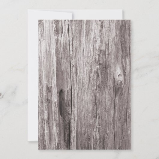 Rustige zonnebloemen PARTIJ Kaart (Achterkant)