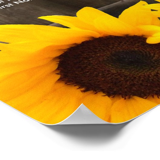 Rustige zonnebloemzaadrooster poster (Hoek)