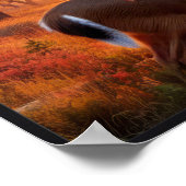 Rustige zonsondergang in de Bossen met optioneel L Poster (Hoek)