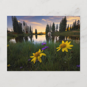 Rustige Zonsopgang over een Vijver van Colorado Briefkaart