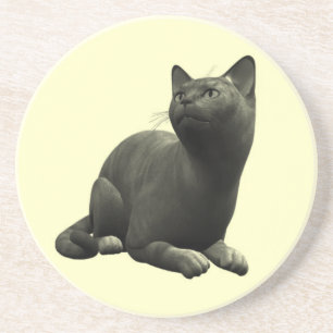 Rustige Zwarte Kat Onderzetter