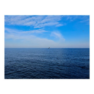 Rustige Zwarte Zee Roemenië – Zeevogels Blauwe Luc Perfect Poster