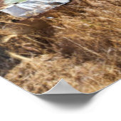 Rusting auto voor verlaten boerderij poster (Hoek)