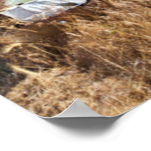 Rusting auto voor verlaten boerderij poster (Hoek)