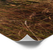 Rusting orange Dodge truck with afschrijoned farm Poster (Hoek)