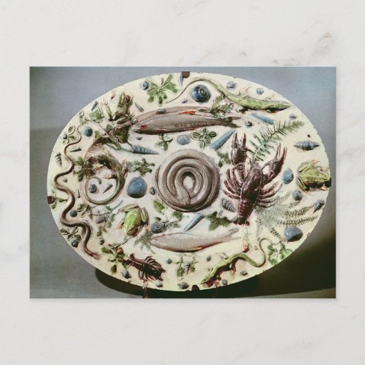 Rustique Figuline-schaal met een witte achtergrond Briefkaart (Voorkant)