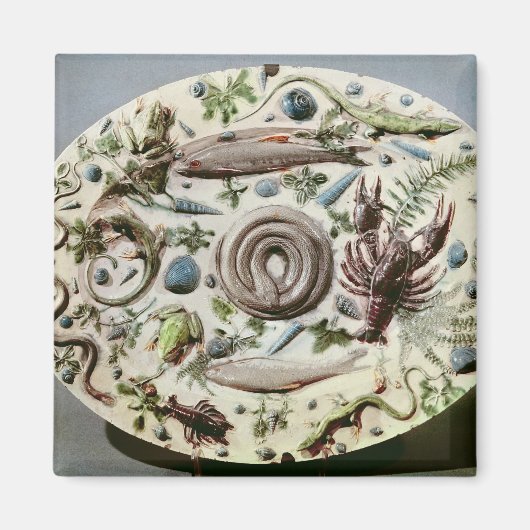 Rustique Figuline-schaal met een witte achtergrond Magneet (Voorkant)