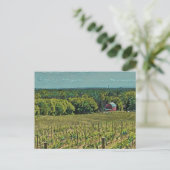 Rustisch Boerderij Landschap met Barn en Vineyard Briefkaart (Staand voorkant)