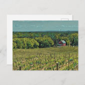 Rustisch Boerderij Landschap met Barn en Vineyard Briefkaart (Voorkant / Achterkant)