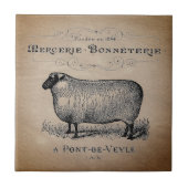Rustisch Frans Land Sheep Typography Farmhouse Tegeltje (Voorkant)