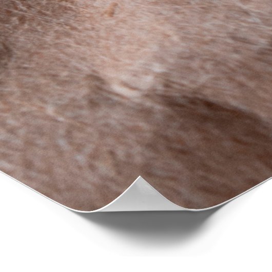 Rustisch gecrêpt papier poster (Hoek)