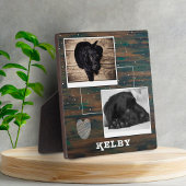 Rustisch hout met warmtekoppeling Foto's Fotoplaat