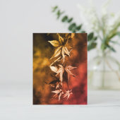 Rustisch Japans Maple Foliage-portret Briefkaart (Staand voorkant)
