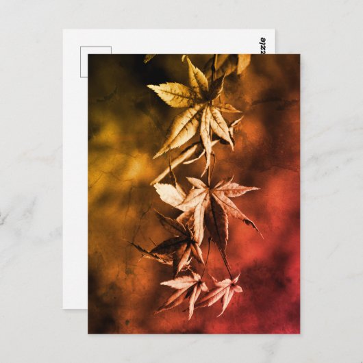 Rustisch Japans Maple Foliage-portret Briefkaart (Voorkant / Achterkant)