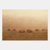  Rustisch land Farmhouse Hay Bales Inpakpapier Vel (Voorkant 2)