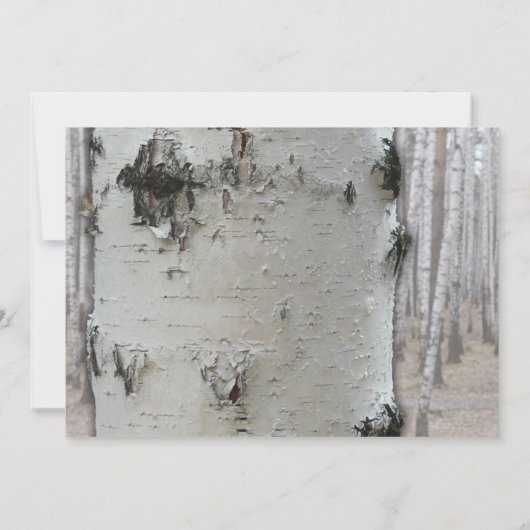 Rustisch land Zilver Birch Tree Wedding Kaart (Achterkant)