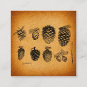 Rustisch Pinecones Pine Cone Artwork Antiek design Informatiekaartje (Voorkant)