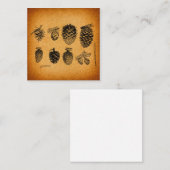 Rustisch Pinecones Pine Cone Artwork Antiek design Informatiekaartje (Voorkant / Achterkant)