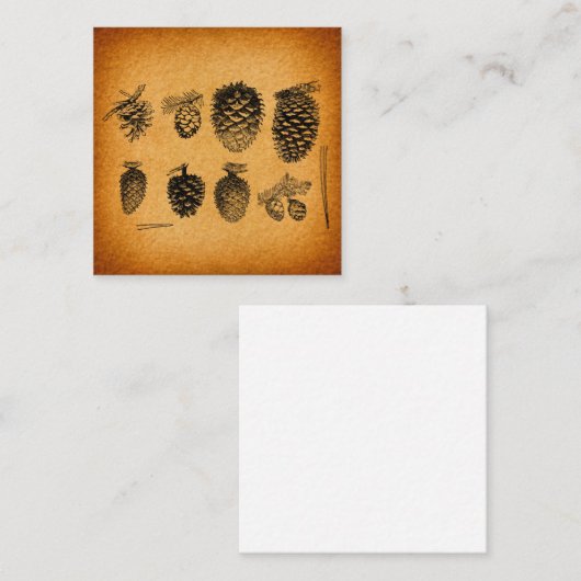 Rustisch Pinecones Pine Cone Artwork Antiek design Informatiekaartje (Voorkant / Achterkant)