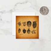 Rustisch Pinecones Pine Cone Artwork Antiek design Notitiekaartje (Voorkant / Achterkant in situ)