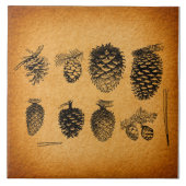 Rustisch Pinecones Pine Cone Artwork Antiek design Tegeltje (Voorkant)