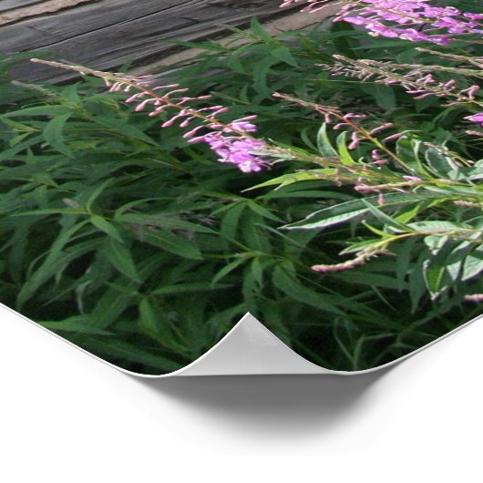 Rustisch Poster, 16x20 Poster (Hoek)