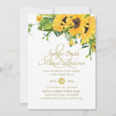 Rustisch Vrijgezellenfeest voor de Zuidelijke Zonn (Voorkant)