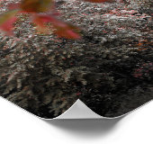 Rustische brug met mooie bomen en landschapsfoto poster (Hoek)