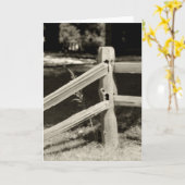 RUSTISCHE FENCE-OPMERKINGEN KAART (Gele Bloem)