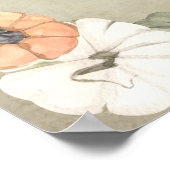 Rustische Herfst herfst White, Oranje pompoenen br Poster (Hoek)