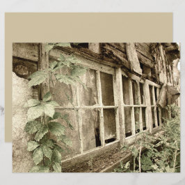  Rustische Oude Rood Band Vensters