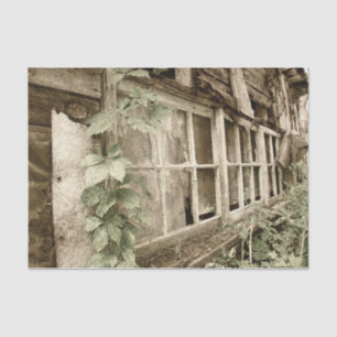 Rustische Oude Rood Band Vensters Tissuepapier