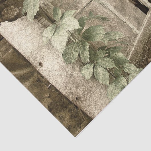 Rustische Oude Rood Band Vensters Tissuepapier (Detail)