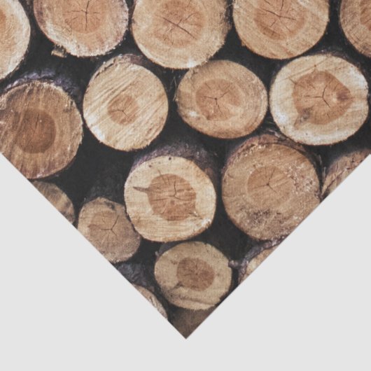 Rustische schoorstenen tissuepapier (Detail)