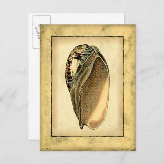 Rustische Seashell Briefkaart (Voorkant / Achterkant)