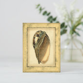 Rustische  Seashell Briefkaart (Staand voorkant)