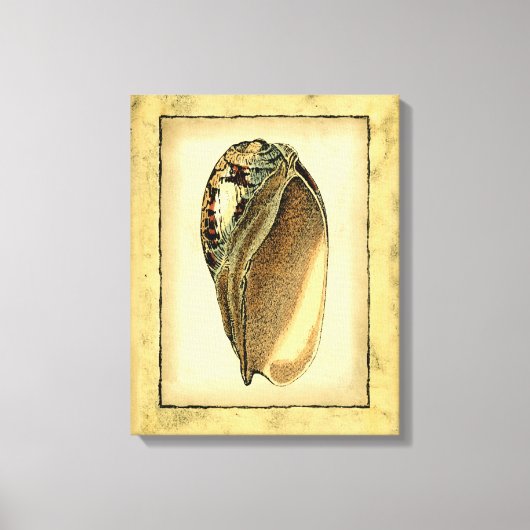 Rustische  Seashell Canvas Afdruk (Voorkant)