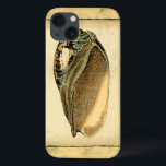 Rustische  Seashell iPhone 13 Hoesje<br><div class="desc">Dit kunstwerk van Vision Studio legt een aantal van de beste zeeen van het leven in de oceaan vast. Haal dit nette stuk kunstwerk van deze schelp van de Conch. Neem de oceaan mee,  overal waar je gaat.</div>