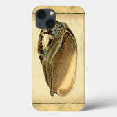 Rustische Seashell Case-Mate iPhone Case (Achterkant)